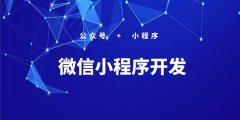 saas支付宝微信公众号小程序商城H5python开发