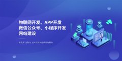 微信小程序后端APP定制公司公众号商城小游戏前端h5开发